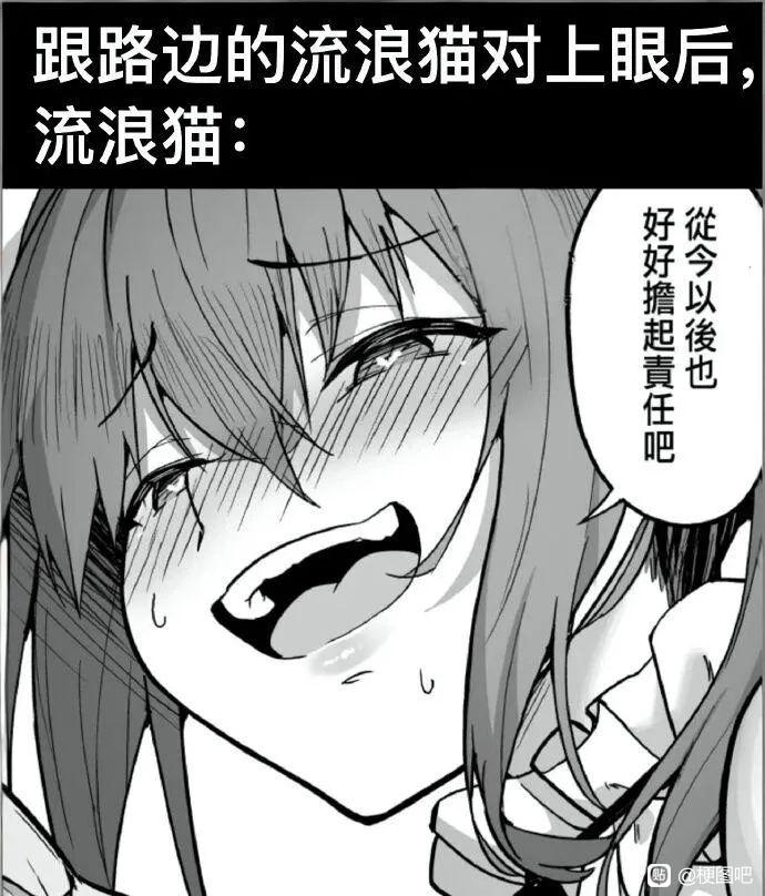 20260805103042938-f6d9a7d0f703918f952b52cb173d269758eec43c