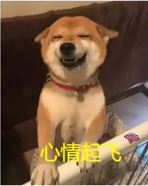 高性价比的真实口感-杯多多真实之口评测|蜜壶屋