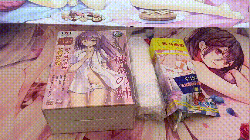 TMT“彼女姐姐”飞机杯评测 – 我拿下女神的秘诀就是它！|蜜壶屋