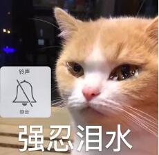 女生从来没有过高潮怎么回事？想高潮，靠它！|蜜壶屋