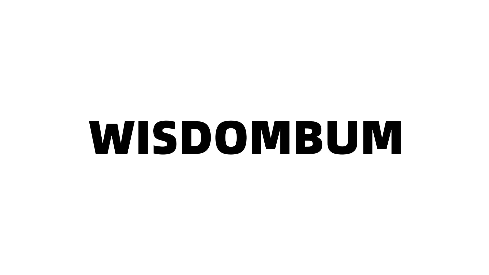 美国WISDOMBUM飞机杯品牌百科|蜜壶屋